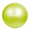 Gimnast. kamuolys 65cm TOORX AHF-012 su pompa