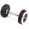 SKO Hantelis gum. TOORX MGP-22 22kg