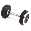 SKO Hantelis gum. TOORX MGP-24 24kg