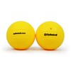 Brookline Kamuoliukai SPIKEBALL Replacement 2vnt.