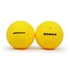 Brookline Kamuoliukai SPIKEBALL Replacement 2vnt.