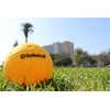 Brookline Kamuoliukai SPIKEBALL Replacement 2vnt.
