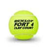 Teniso stovykla. DUNLOP FORT CLAY COURT 4-tin ITF