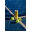 Padel kamuoliukai Dunlop TEAM PADEL 3-pet