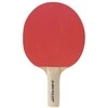 Dunlop Stalo teniso raketė BT10 pradedantiesiems