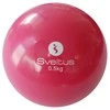 Sveltus Svorinis kamuolys WEIGHTED BALL 0,5kg