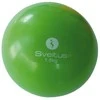 Sveltus Svorinis kamuolys WEIGHTED BALL 1,5kg