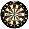 Harrows Darts taikinys BRISTOW'S FAMILY su strėl.