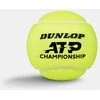 Teniso kamuol. DUNLOP ATP CHAMPIONSHIP 3PET ITF