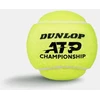 Teniso kamuol. DUNLOP ATP CHAMPIONSHIP 4PET ITF
