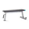 Pro-Form Suoliukas PROFORM Flat