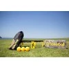 Žaidimo rinkinys SPIKEBALL Standard