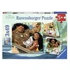 Puzzle 3 x 49 Vaianas Discovery Journey - RAVENSBURGER dėlionė