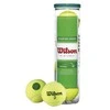 WILSON STARTER Žalias teniso kamuoliukai (4 kam.)