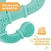CHICCO Kramtukas „Iguana“
