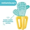 „Chicco Refreshing Cactus“ kramtukas 4M+
