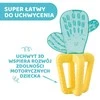 „Chicco Refreshing Cactus“ kramtukas 4M+