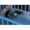 Chicco Čiulptukas uspokajając light silikon lumi 2vnt. 16-36m
