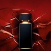 Bvlgari Ambero - EDP 100ml Kvepalai Vyrams