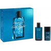 Davidoff Cool Vanduo Man 75ml Kvepalai Vyrams