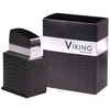 Flavia Viking Man - EDP 100ml Kvepalai Vyrams EDP