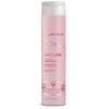 Joico InnerJoi Preserve Conditioner for colored hair 300ml plaukų balzamas