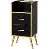 Activeshop Kirpėjo reikmenų spintelė Gabbiano Trix Gold Juodas
