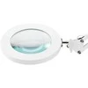 Activeshop Kosmetologinė LED lempa su lupa GLOW 308 7D 10W Baltas