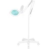 Activeshop Kosmetologinė lempa LED su lupa GLOW 5D 8W Baltas