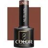 Activeshop OCHO NAILS hibridinis lakas autumn A05 -5 g