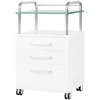 Activeshop Kosmetologinis vežimėlis 6050 Baltas