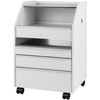 Activeshop Kosmetologinis vežimėlis 984 Baltas