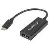 LANBERG AD-UC-DP-01 adapteris USB TYPE-C M -Displayport F 15cm Juodas
