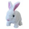 Askato Bunny Jumping Kica Voices (378492)