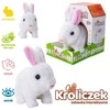 Askato Bunny Jumping Kica Voices (378492)