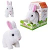 Askato Bunny Jumping Kica Voices (378492)