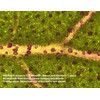 Stereomikroskopas Bresser Advance ICD 10X-160X