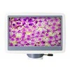 Levenhuk D85L LCD skaitmeninis mikroskopas