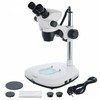 Mikroskopas Levenhuk ZOOM 1B Binocular Microscope