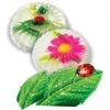 Ranok Ranock Frowing pieva - 15130008