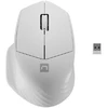 NATEC Belaidė pelė Siskin 2 1600DPI Bluetooth 5.0 + 2.4Ghz baltas