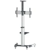Techly ICA-TR15 reklaminio ekrano laikiklis 177,8 cm (70") Sidabras