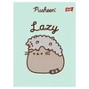 St. Majewski MAJEWSKI Užrašų knygelė A5 32k dvigubai linijuotas dviejų spalvų laminuotas Pusheen p15 mišinio kaina už 1 vnt.