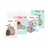 St. Majewski MAJEWSKI Užrašų knygelė A5 32k dvigubai linijuotas dviejų spalvų laminuotas Pusheen p15 mišinio kaina už 1 vnt.