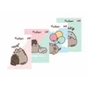 St. Majewski MAJEWSKI Užrašų knygelė A5 32k dvigubai linijuotas dviejų spalvų laminuotas Pusheen p15 mišinio kaina už 1 vnt.