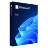 Operacinė sistema Microsoft Windows 11 Pro, 64 bitų, USB atmintinės dėžutė