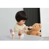 Viga Toys Medinių ledų rinkinys VIGA PolarB