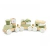 Viga Toys VIGA 44231 PolarB Žaliasis traukinys su vežimėliais