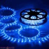 Polamp PRO LED žarna mėlyna