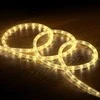 Polamp PRO LED žarna šiltai balta